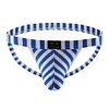 Men's Striped Bikini Thong