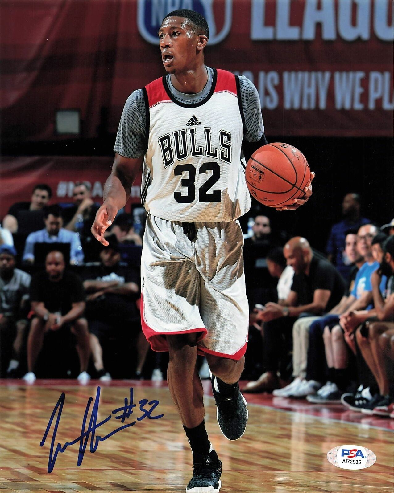 KRIS DUNN signed 8x10 Photo Poster painting PSA/DNA Chicago Bulls Autographed