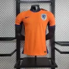 2024 Player Version Netherlands Home_Football Shirt 1:1 Thai Quality