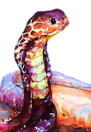 

Brown Snake – Paint By Numbers - 40*50CM, 501 Original