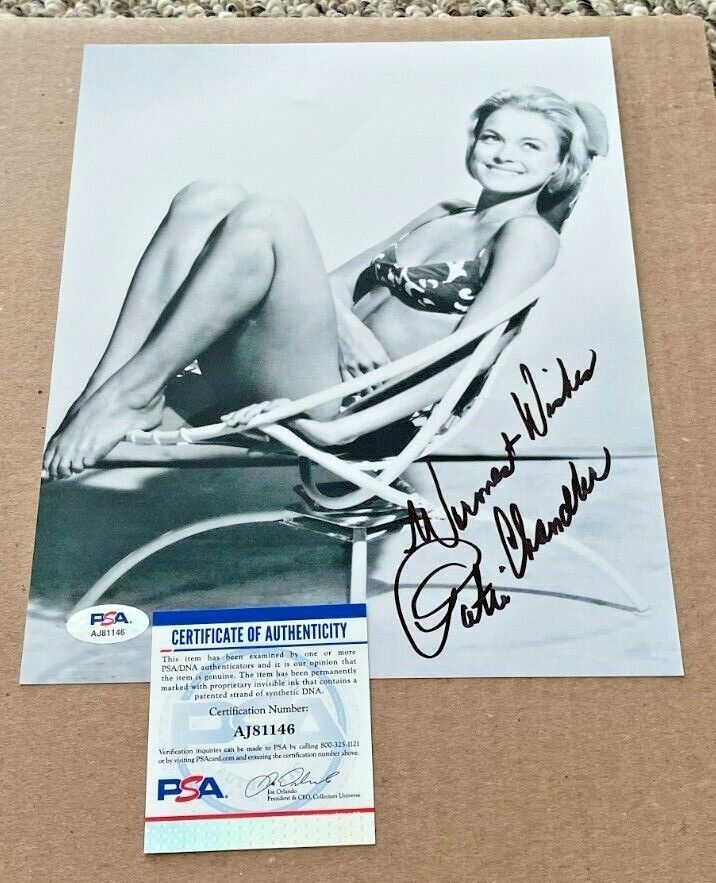 PATTI CHANDLER SIGNED SEXY 8X10 Photo Poster painting PSA/DNA CERTIFIED