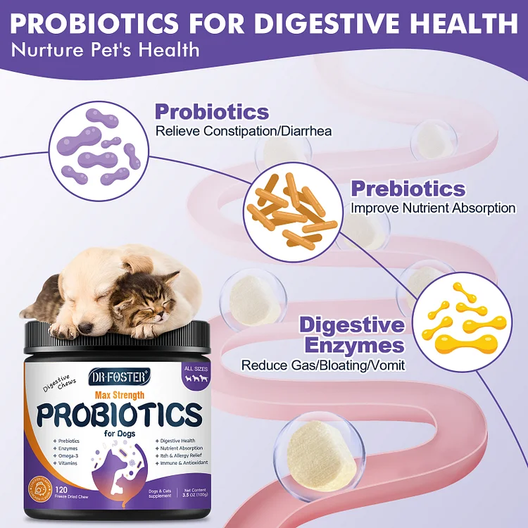 Probiotics for Dogs Dog Probiotics and Digestive Enzymes with