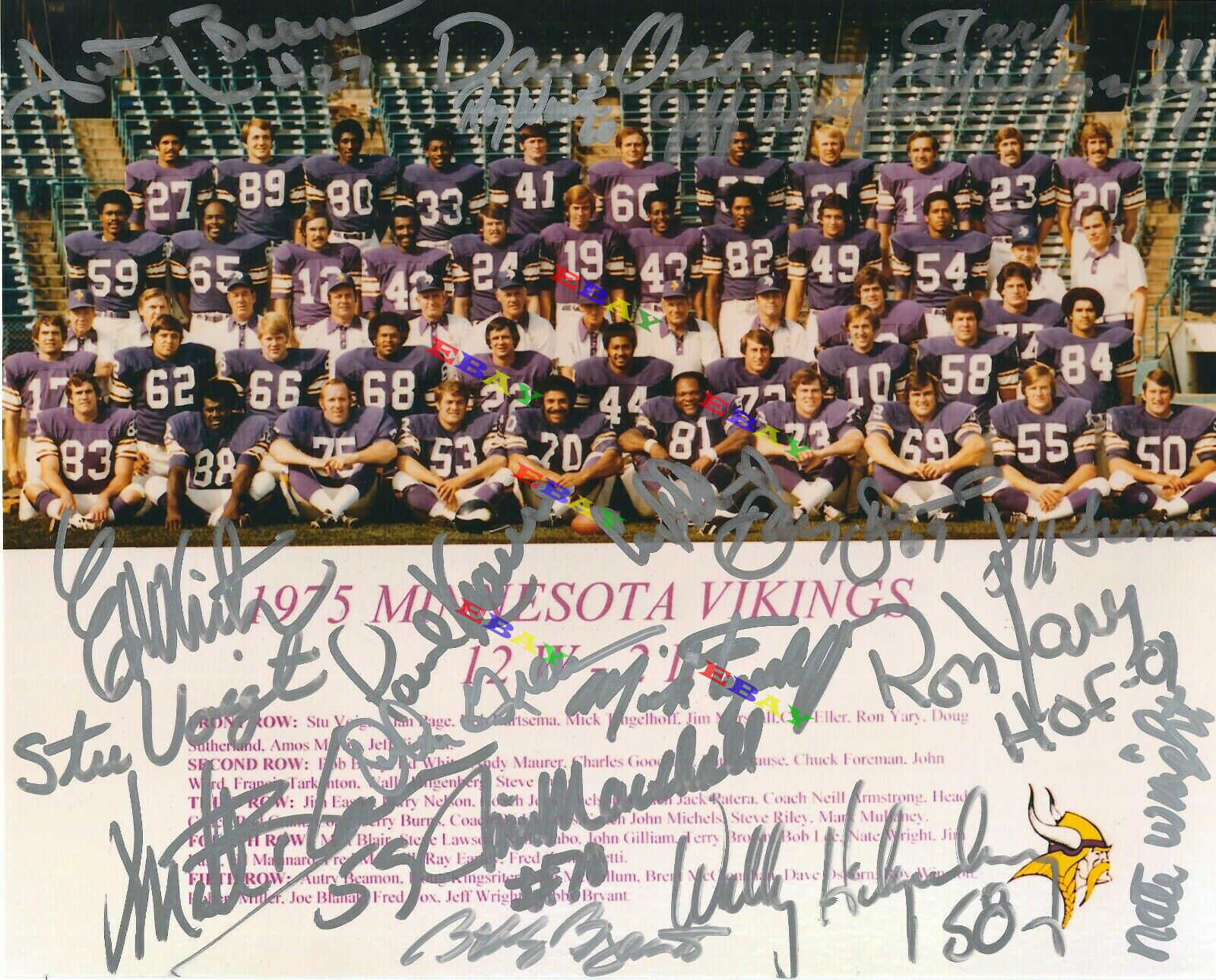 1975 Minnesota Vikings Signed Autographed 8x10 Photo Poster painting Reprint