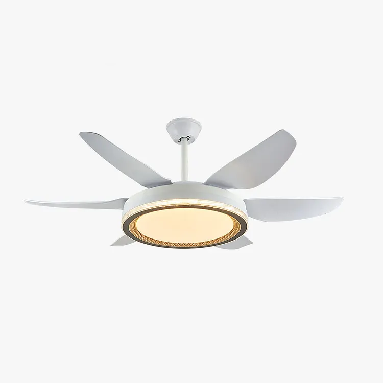 Haydn 6-blade ceiling fan with lighting Basic, &empty;130CM