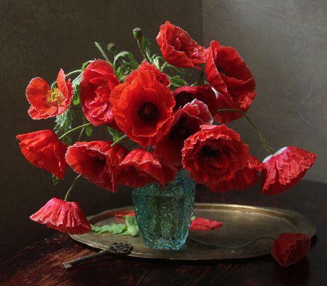 

Red Poppies Vase – Paint By Numbers - 40*50CM, 501 Original