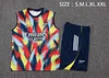 2025/2026 Arsenal Pre-Match Training Color Vest+Shorts Football1:1 Thai Quality