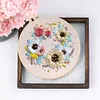 Flying Wreath-DIY Embroidery Kit with Pattern Cotton Threads Needles Hoop 30*30cm/11.81*11.81in