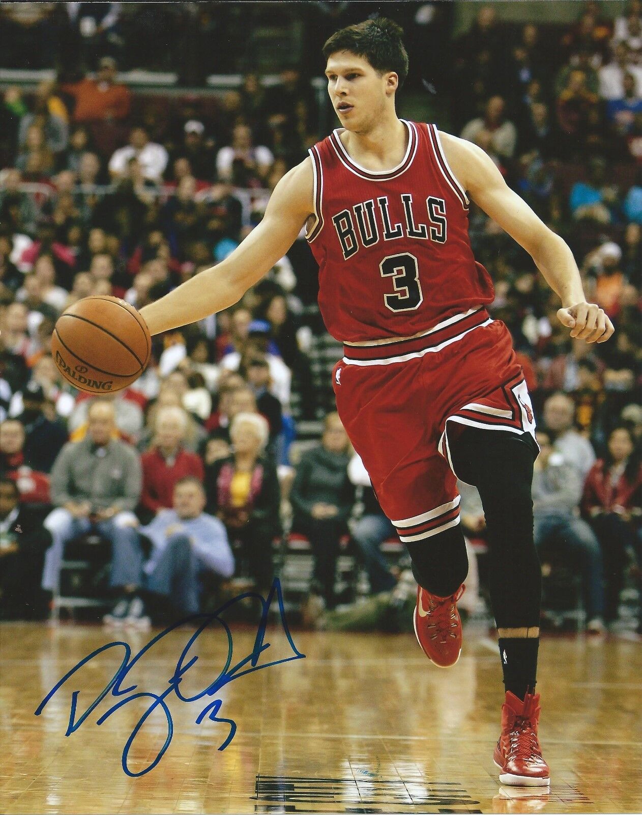 DOUG MCDERMOTT signed autographed CHICAGO BULLS 8x10 Photo Poster painting PROOF