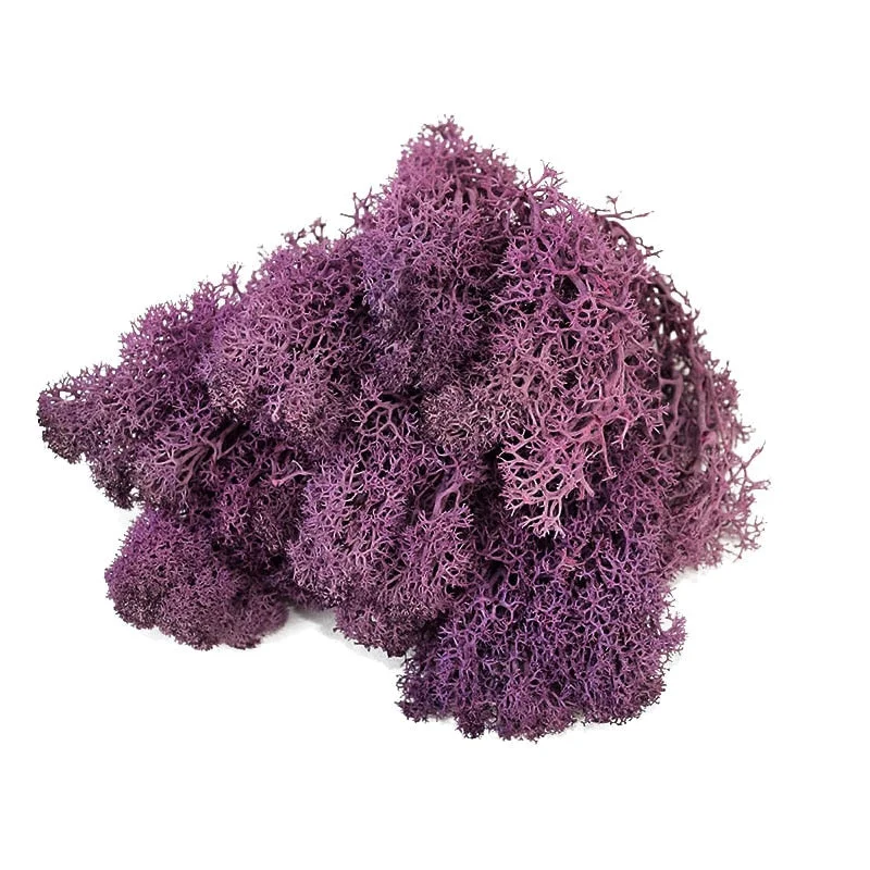 20g Artificial Plant Eternal Life Moss Garden Home Decoration Wall DIY Flower Material Mini Garden Micro Landscape Accessories