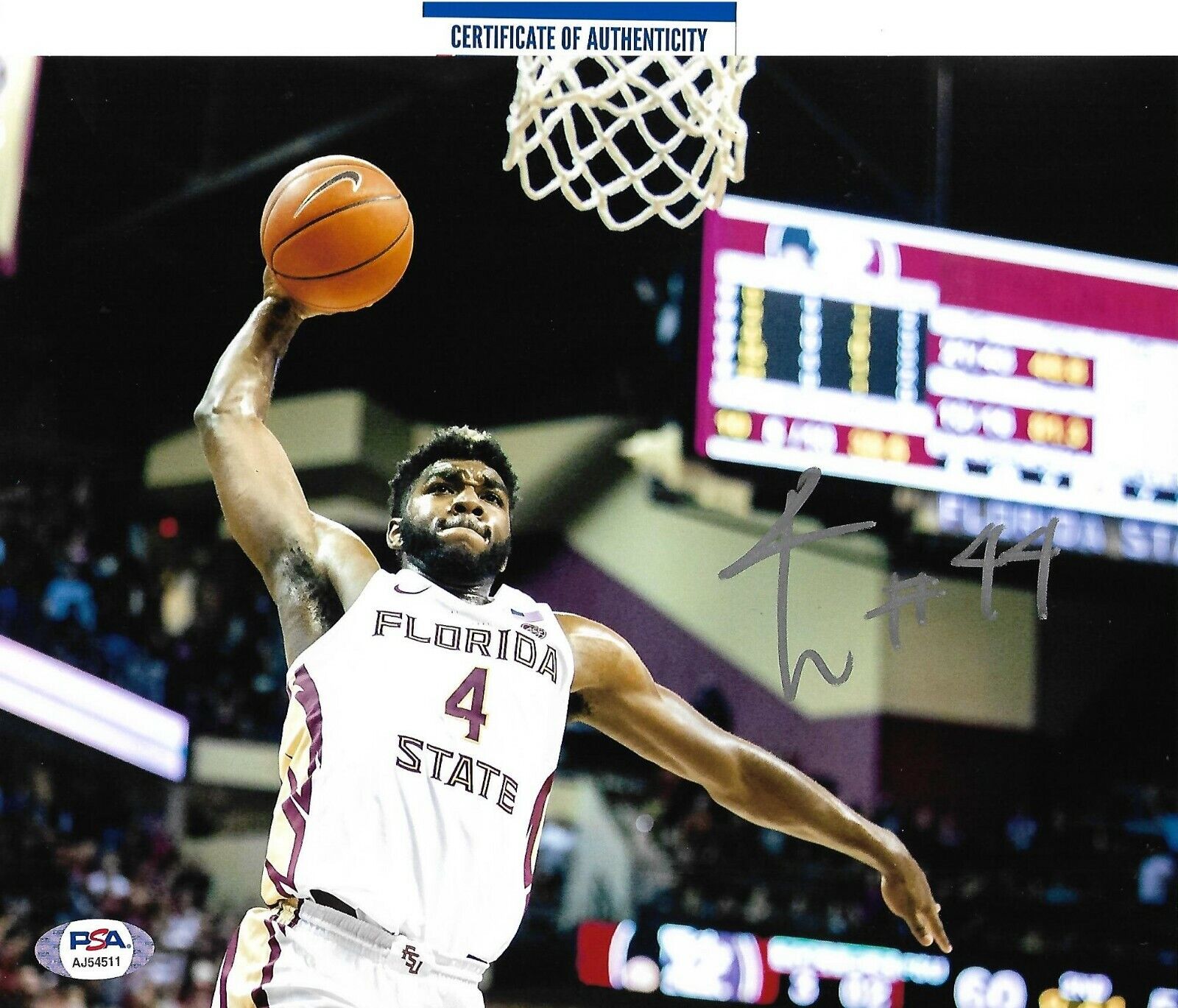 PATRICK WILLIAMS signed FLORIDA STATE, CHICAGO BULLS 8X10 Photo Poster painting COA PSA AJ54511