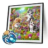 Garden Cat Special Shaped 5D DIY Partial Drill Diamonds Dots Gem Art Kits 11.81 X11.81inch Diamond Dots Paintings Diamonds Paintings Gem Art for Adults Beginners Home Decor