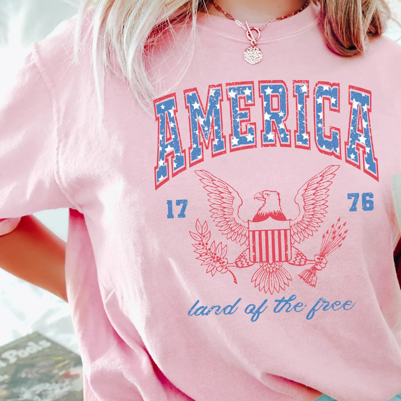 Loveyoufancy USA shirt, Summer BBQ t-shirt, Red White and Blue, America Tee