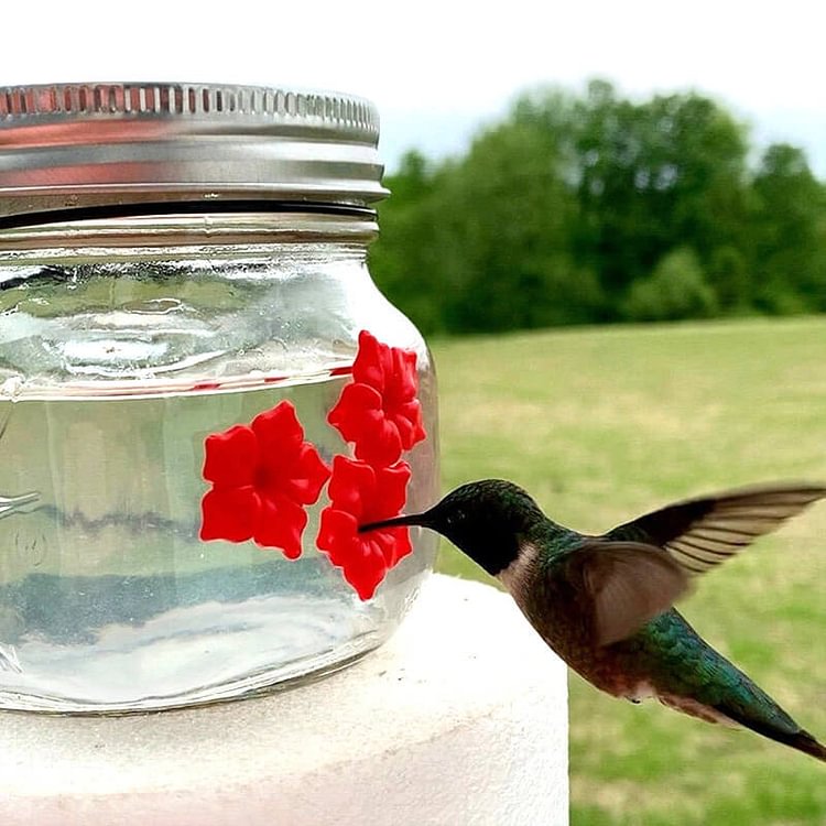 Mason Jar Hummingbird Feeder with Three Ports