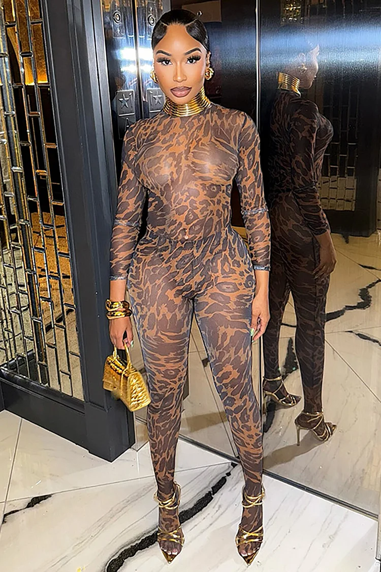 Leopard Print High Neck Bodysuit See Through Pantyhose 2pcs Set-Brown
