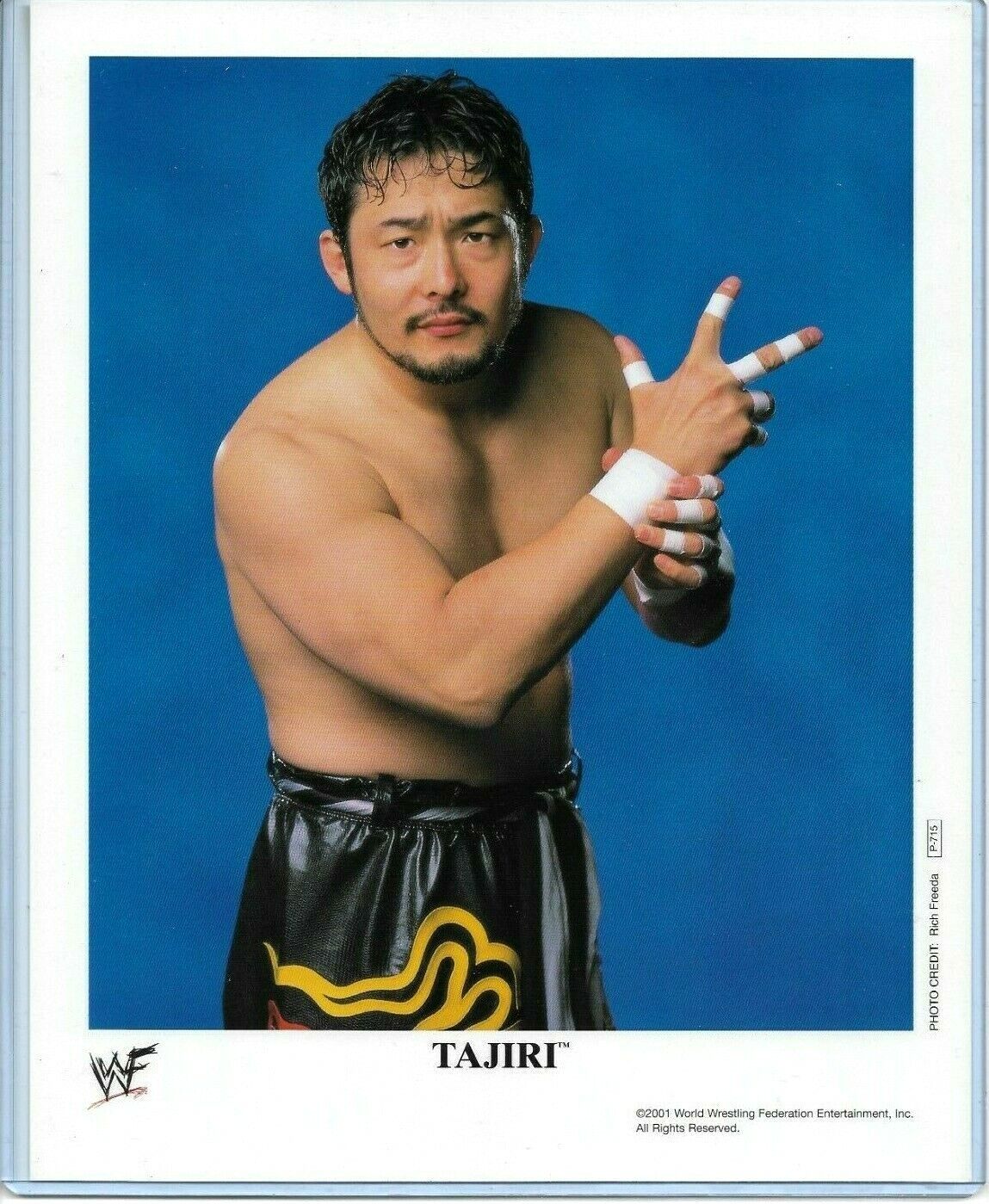 WWE TAJIRI P-715 OFFICIAL LICENSED AUTHENTIC ORIGINAL 8X10 PROMO Photo Poster painting VERY RARE