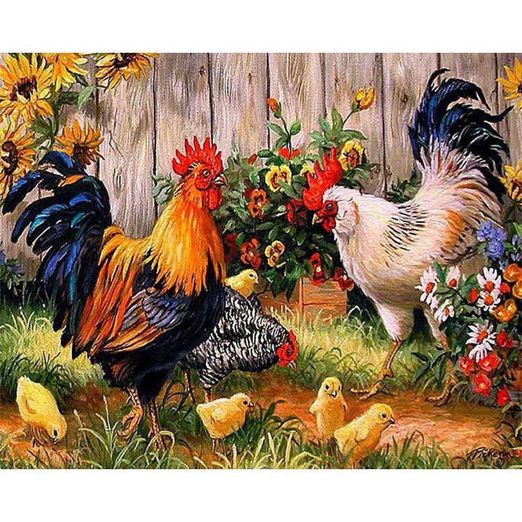 Chicken - Painting By Numbers - 40x30cm