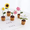 4Pcs Potted Plants Crochet Kit DIY Crochet Starter Kit Crochet Set for Beginners