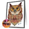 Diamond Painting-DIY Crystal Rhinestone Owl