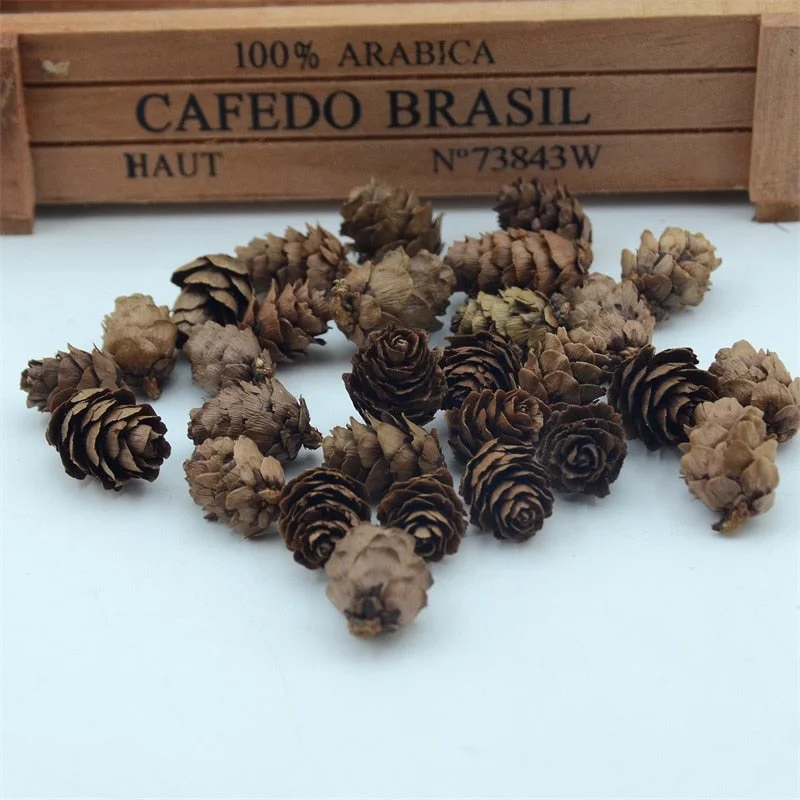 50pcs Natural Cheap Mini Pine Nuts Artificial Fake Fruit Vegetable For Home Wedding Decoration Christmas Tree Decoration