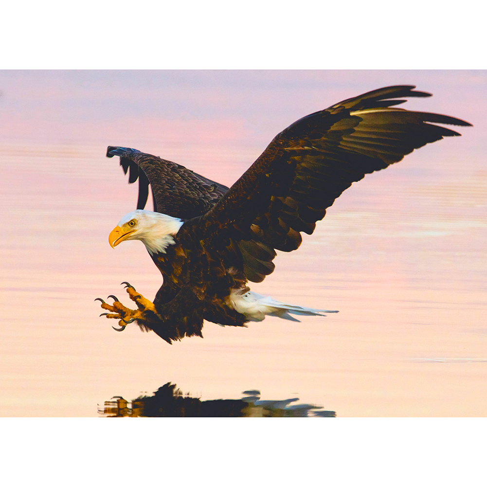 

Flying Eagl - 1000 Pieces Jigsaw Puzzle, 501 Original