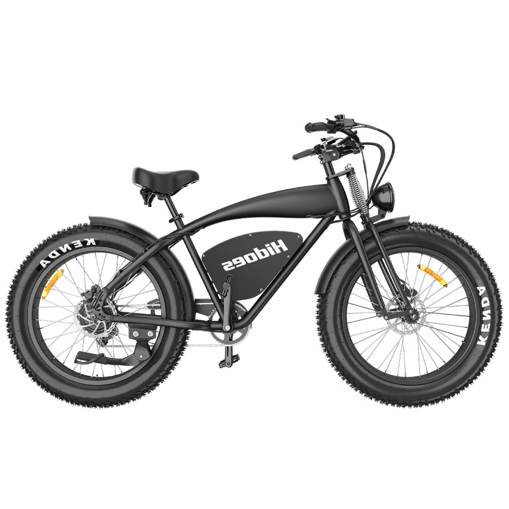 Hidoes B3 1200W Motor 48V 18.2Ah Battery Speed 60 km/h Long Range 96km Fat Tire Cruiser Electric Bike ienyridescooter