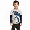 Kid Baby Boys Long Sleeves Tops Dinosaur Casual T-Shirt
