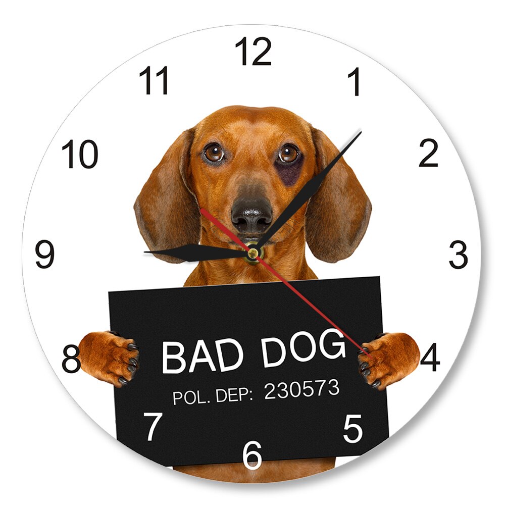 

Dachshund MugShot Dog - Frameless Acrylic Wall Clock, 501 Original