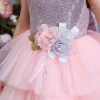 Girl Ceremonies Dress Wedding Party Birthday Gown Vestidos Tutu Dress - honeylives
