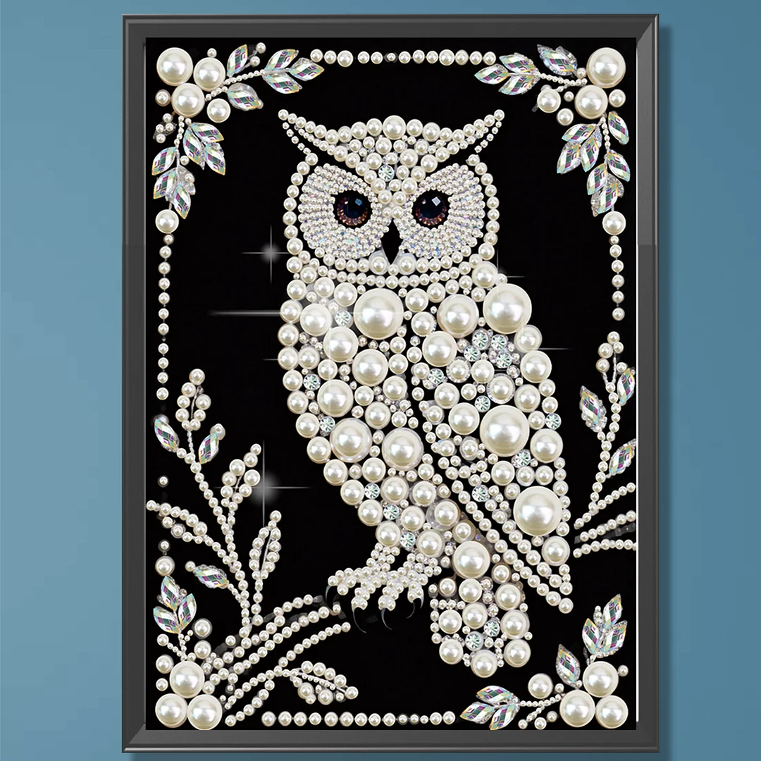 Owl Special Shaped 5D DIY Partial Drill Diamond Painting Kit Home Art 30x40cm