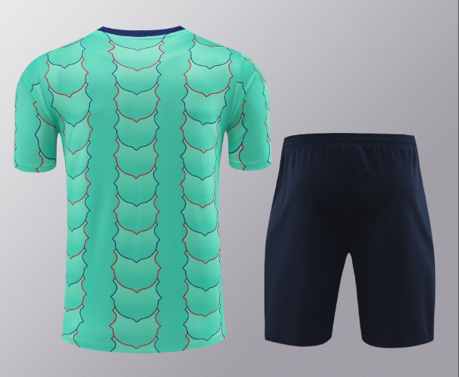 24/25 Barcelona Training Kit Light Green Short Sleeve Football Shirt Thai Quality