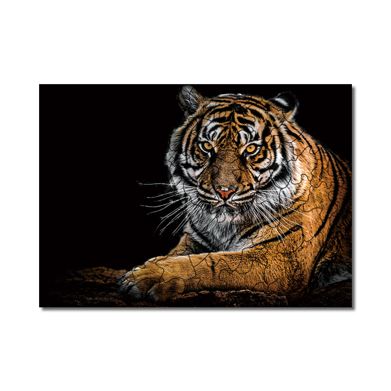 South China Tiger Puzzle