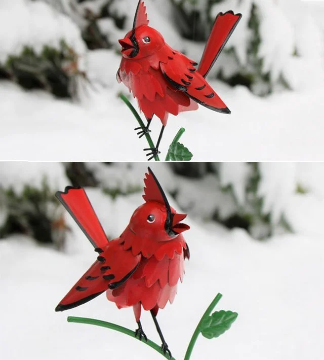  Wild Bird Art - Gift for Mom