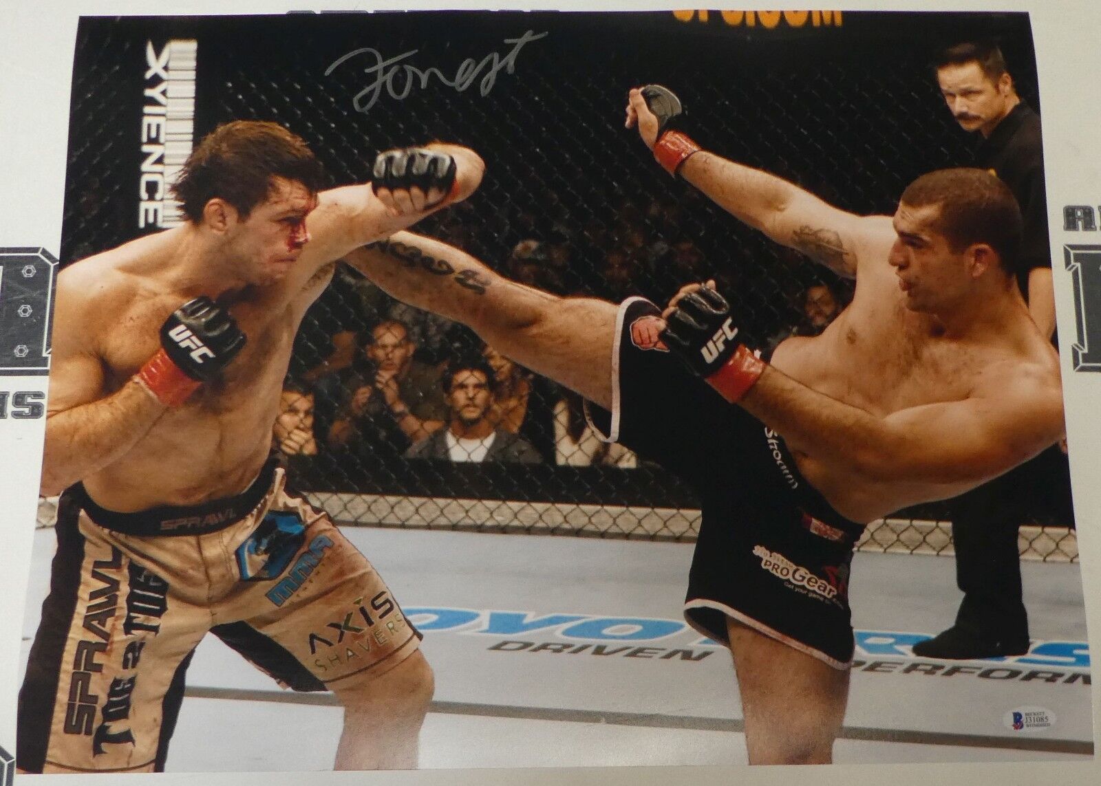 Forrest Griffin Signed 16x20 Photo Poster painting BAS COA UFC 76 2007 Shogun Picture Autograph