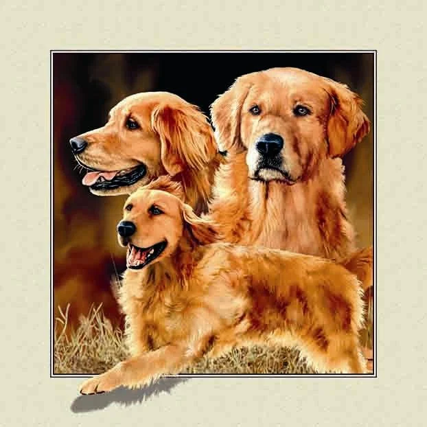 Maltese Dogs 5d Diy Diamond Painting Full Embroidery Cute Pet Home
