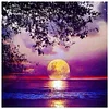 Diamond Painting-5D Full Round Drill Moon