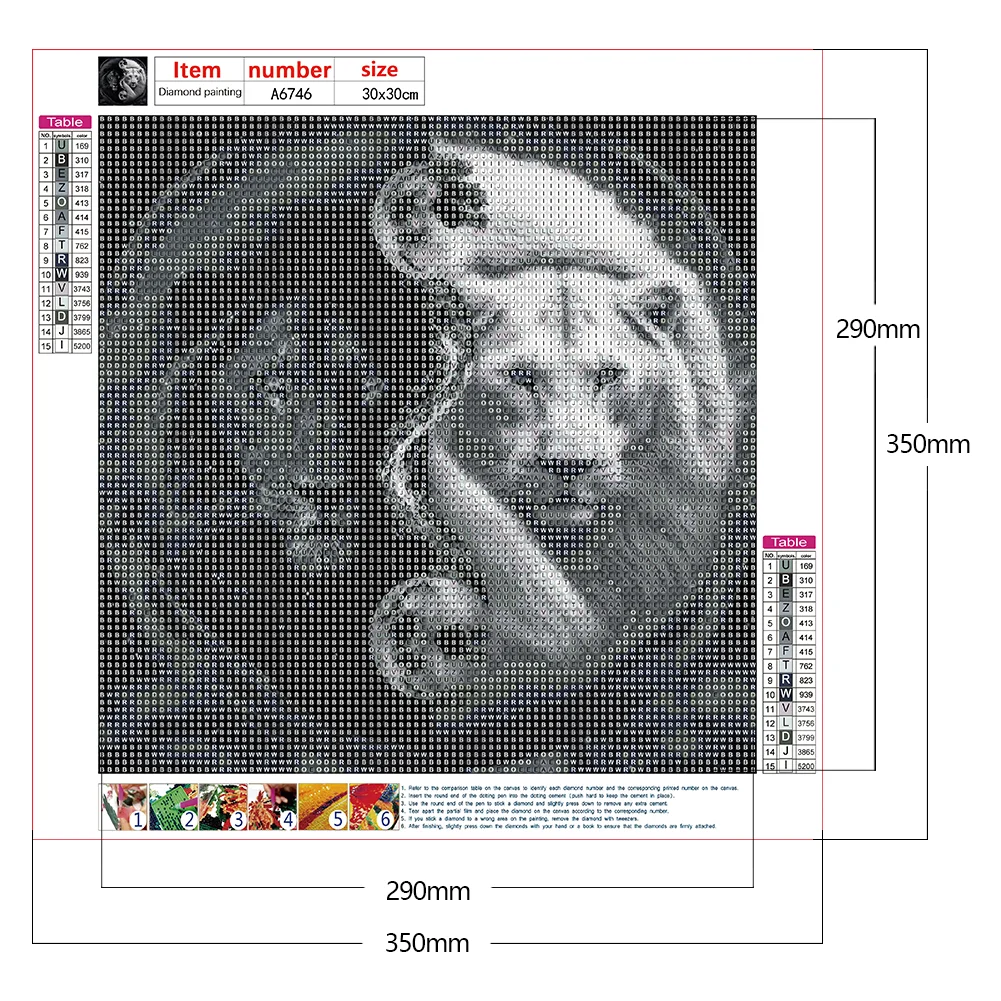 Diamond Painting - Full Round Drill - Yin Yang Lion(30*30cm)