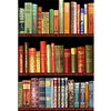 (Multi Style)Bookshelf-Full Embroidery 3 strands 11CT Stamped Cross Stitch-40*60CM-Large Size