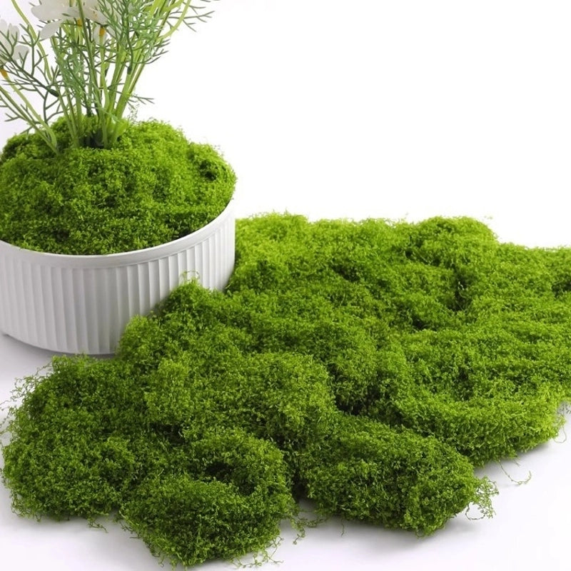 Simulation Moss Moss Landscape Bionic Fake Turf Micro Landscape Layout Ornaments Lawn Pavement Decoration