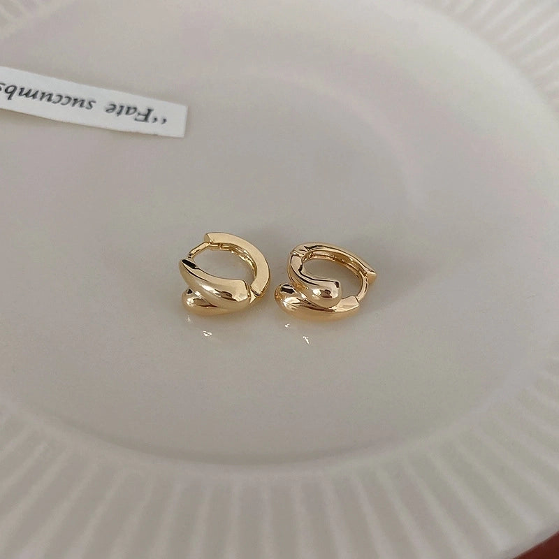 Silver Needle  Exaggerated Lovely Earrings Light Luxury High-grade Niche Earrings Fashion Metal Temperament Earrings For Women