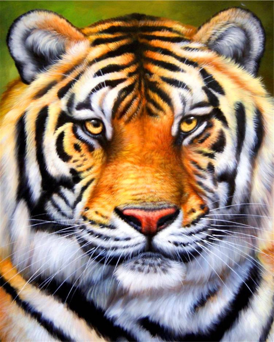 DIY Painting By Numbers | Tiger head