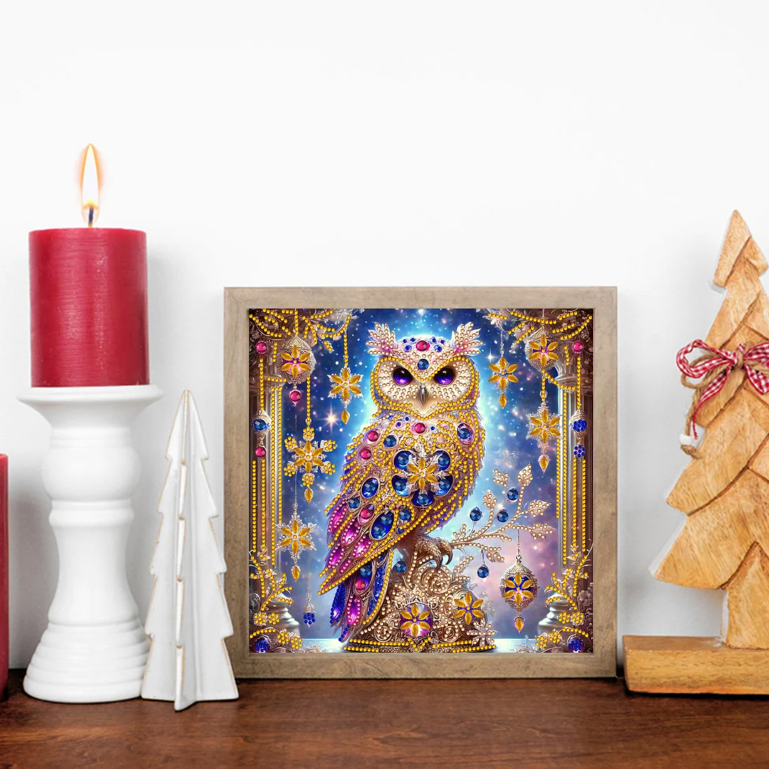 Owl - Partial Special Shaped Drill Diamond Painting Kits (Canvas|30*30cm)