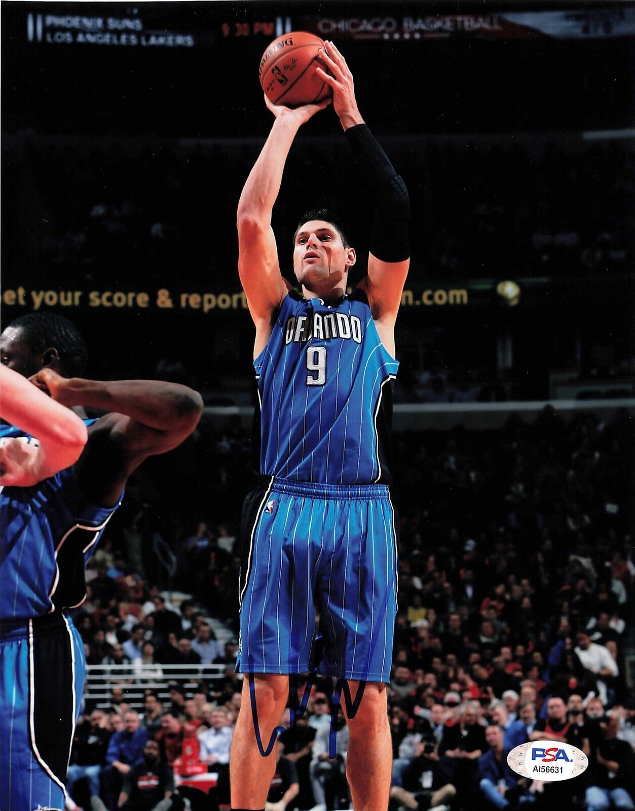 Nikola Vucevic signed 8x10 Photo Poster painting PSA/DNA Orlando Magic Autographed