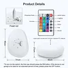 Solar Lights