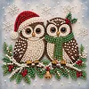 (20x20cm)Owl Xmas Pearl Painting Art Kits With Inner Frame Pearl Gem Paintings Picture Arts Craft for Adults Beginners Home Wall Decor