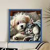 Dog Cat-11CT Stamped Cross Stitch 40*40cm/15.75*15.75in tapestrymarket