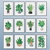 12pcs Plants DIY Mini Square Diamond Painting Set 14x18cm