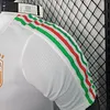2024/2025 Player Version Italy Special Edition Football Shirt 1:1 Thai Quality