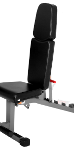 Adjustable Flat, Incline, Decline bench with dual rail system, levels with degrees