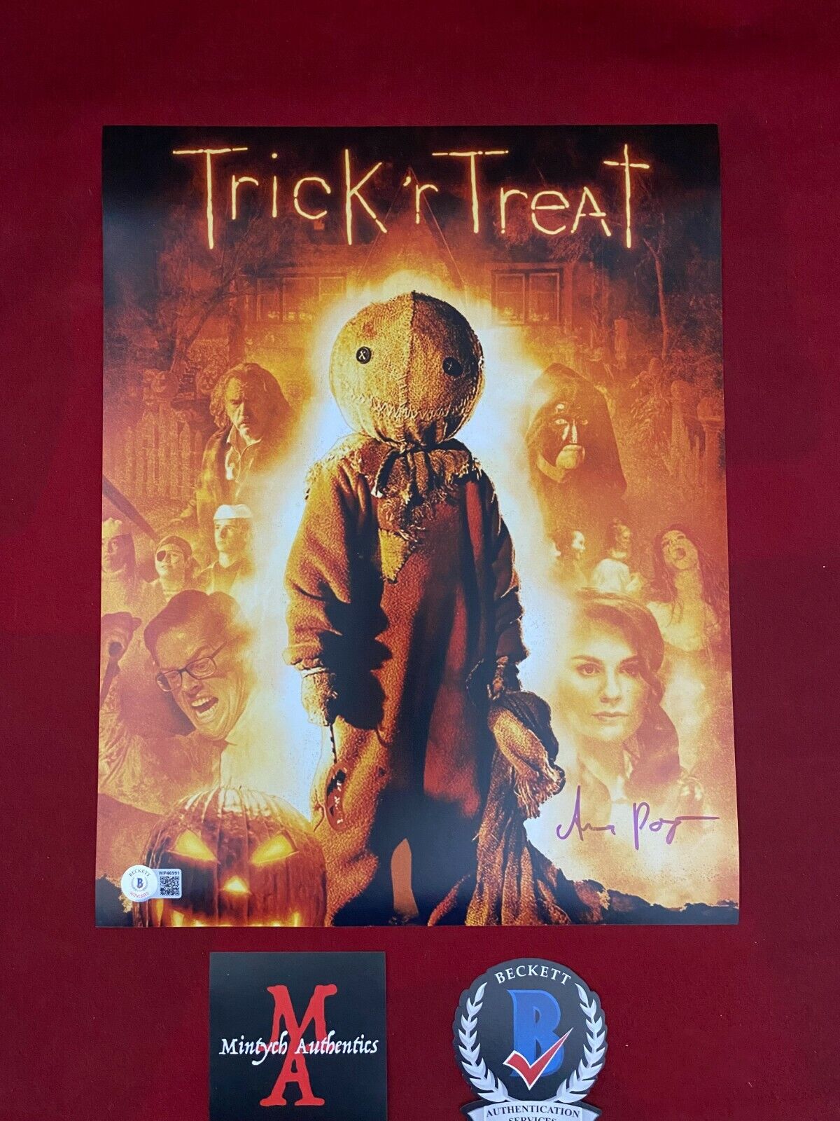 ANNA PAQUIN AUTOGRAPHED SIGNED 11x14 Photo Poster painting! TRICK 'R TREAT! LAURIE! BECKETT COA!