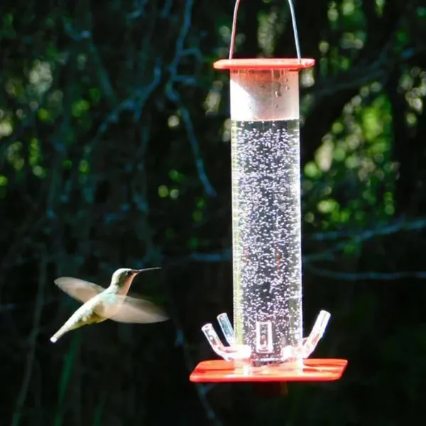 Peter&rsquo;s Hummingbird Feeder